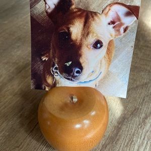 Wooden Display Apple